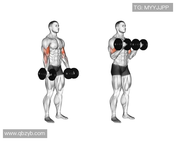 全面提升力量与塑形的哑铃锻炼视频教程全集助你打造完美身材